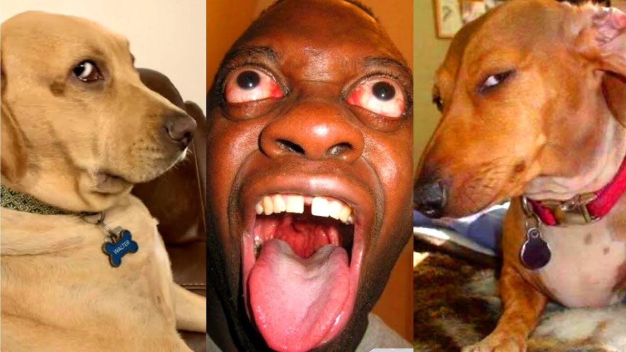 Funny TikToks that Got Me Sus Mode