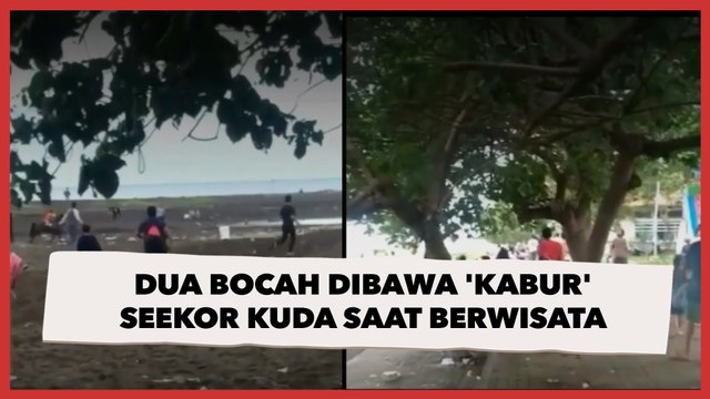 Detik-detik Dua Bocah Dibawa 'Kabur' Seekor Kuda saat Berwisata di Pantai Boom Banyuwangi