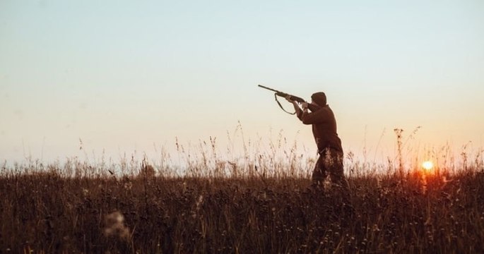 Pour éviter les balles perdues des chasseurs, les promeneurs n'ont qu'à se balader « chez eux »