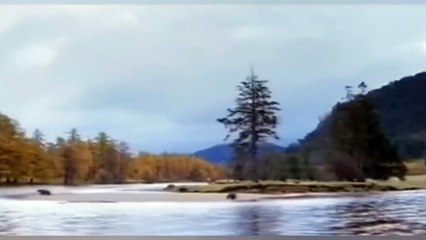 John West - Comercial (2000)