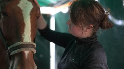 Son dakika haberi | Lviv savaş bölgelerinden kurtarılan atların barınağı oldu