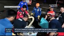 Petugas Damkar Evakuasi Ular  Dari Dalam Rumah Warga