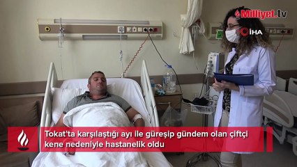 Ayıyı dize getirdi, keneye yenildi