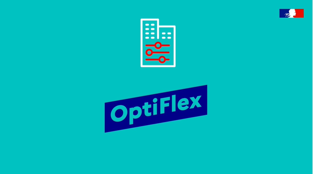 OptiFlex : Repenser les modes de travail au service de la qualité de vie et de la maîtrise de l'empreinte environnementale - Entrepreneurs d'Intérêt Général