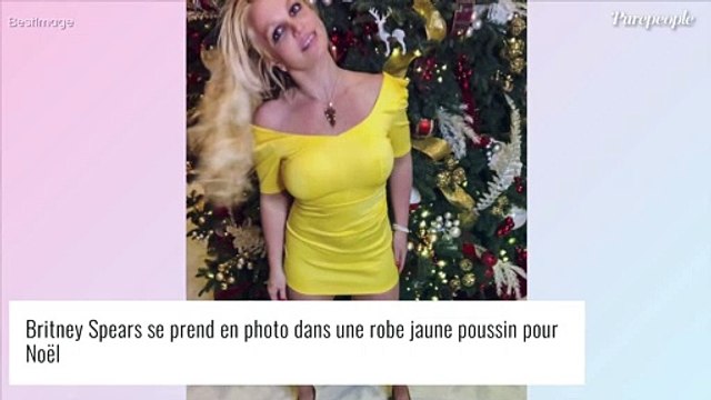 Britney Spears publie des photos d'elle complètement nue, ses fans inquiets pour sa santé mentale