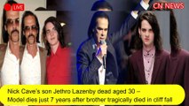 Nick Cave's son dies aged 30- two days after getting out of jail-and 7 years after his brother died