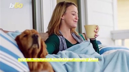 Americans Love Their Pets More Than Anything