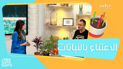 نصائح للاعتناء بالنباتات خلال فصل الصيف