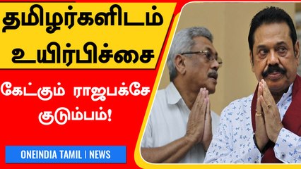 Srilanka-வில் Rajapaksa குடும்பத்துக்கு வந்த ஆபத்து.. தமிழர்களிடம் உயிர்பிச்சை கேட்ட நிலை !