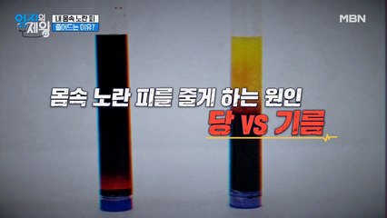 ☆엄지 닥터스의 선택☆ 당이 더 나쁘다 vs 기름이 더 나쁘다