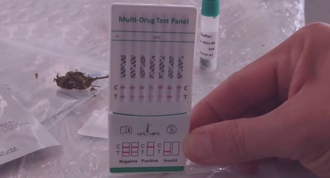 Ascoli Piceno - Traffico di droga, 15 arresti (10.05.22)