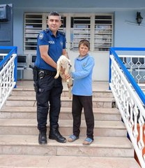 Son dakika haber! POLİS, 2 ÇOCUĞA KUZU SEVİNCİ YAŞATTI