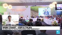 COP15: UN talks to tackle degraded land 'emergency' begin