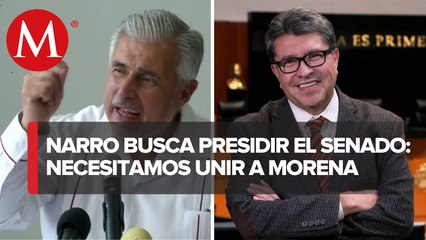José Narro Céspedes 'se destapa' para presidir el Senado a partir de septiembre