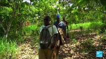 COP15 à Abidjan : la déforestation ne ralentit pas en Côte d'Ivoire