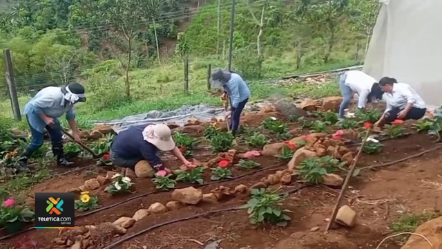 tn7-mujeres-cultivan-flores-comestibles-en-faldas-cerro-chirripo-100522