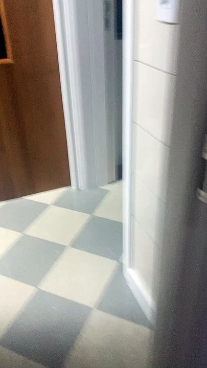 Little Dog Struggles With Large Toy