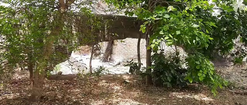 जर्जर कक्षों में बैठने को मजबूर, विभाग बना बेपरवाह