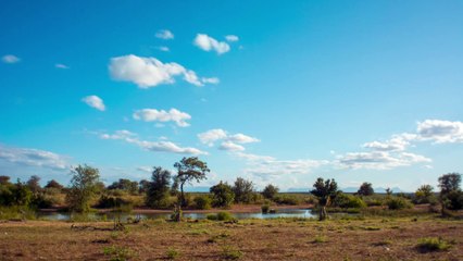 Nzumba Camp, Klaserie Private Nature Reserve - Timelaps