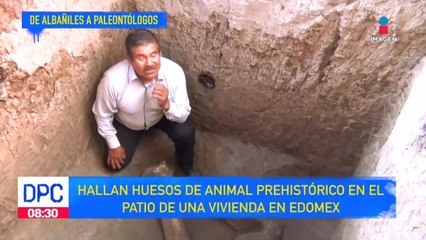 Albañiles hallan restos de un animal prehistórico en Edoméx