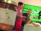 On cuisine des beignets de fleurs d'acacia avec Marie-Hélène MERET - Appétit - TL7, Télévision loire 7