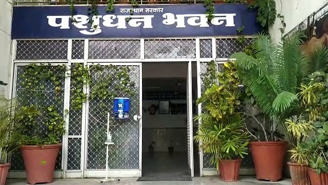 पशुधन सहायक भर्ती-2022 - अब एक हजार 436 पदों पर होगी भर्ती