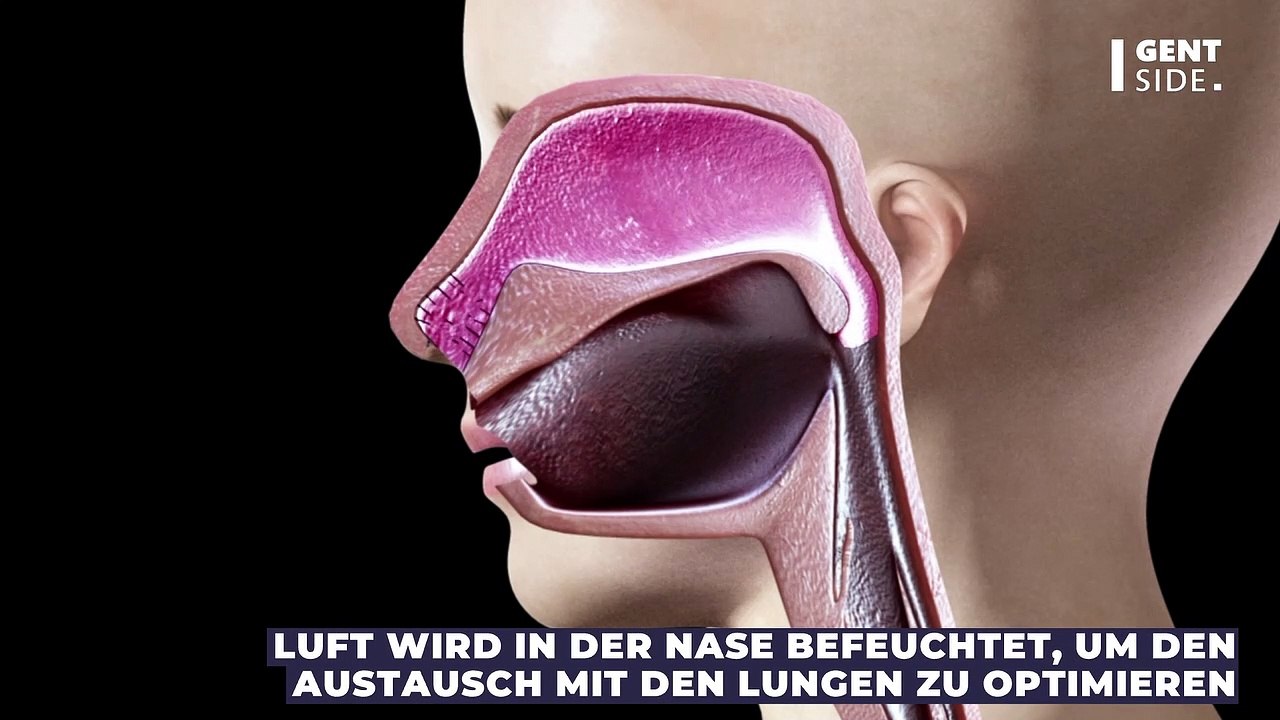 Ist es gesundheitsschädlich sich ständig zu räuspern?