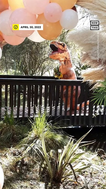 Bride Wears T-Rex Costumes at Wedding