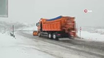 Tendürek Geçidi'nde kar yağışı trafikte aksamalara neden oluyor