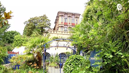 Le JT - 10/05/22 - Phoenix Mobility, rugby adapté, Sébastien Chabal, Arts du Récit