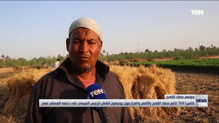 كاميرا TeN تتابع حصاد القمح بالأقصر والمزارعون يوجهون الشكر للرئيس السيسي على دعمه المستمر لهم