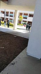 Really fire alarm goe off on my school again 