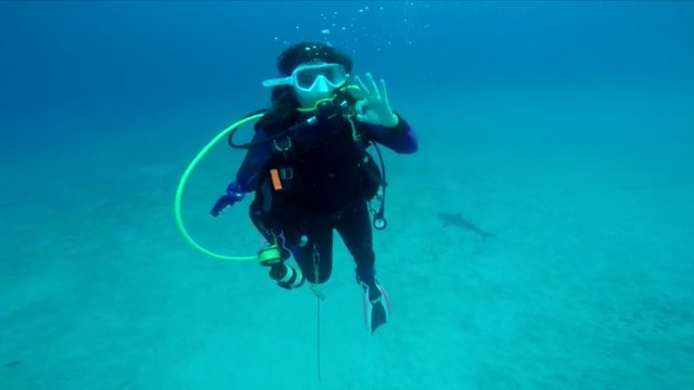 ext-buzo-embed-100522