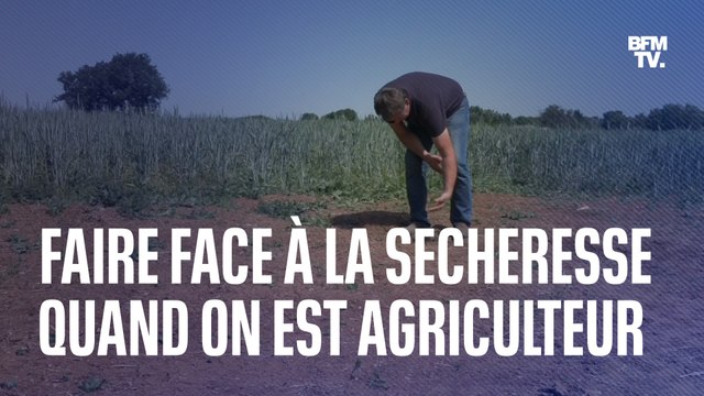 Comment Thierry, agriculteur dans les Deux-Sèvres, fait face à la sécheresse