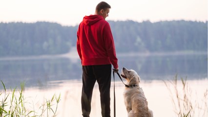 Son chien déchire 1.100 euros en billets, il se fait rembourser par la banque