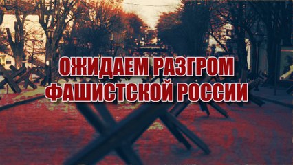 Ожидаем разгром Фашистской России