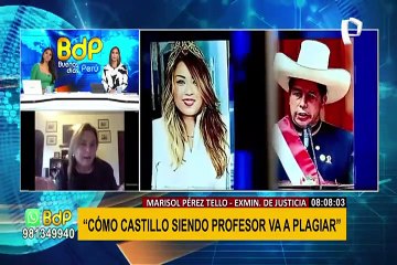 Marisol Pérez Tello tras denuncia de plagio: "el presidente es insostenible, yo creo que se va a ir"