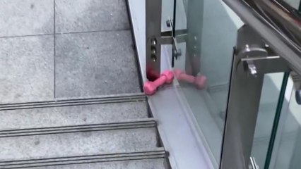 아파트 고층에서 아령 떨어져...다친 사람 없어 / YTN