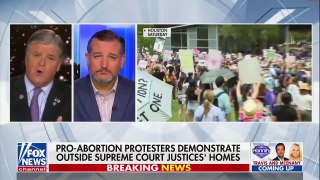 Cruz On Jan. 6 Demonstrators vs. Protests Outside Homes