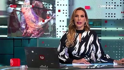 IBCE sobre la exportación de carne