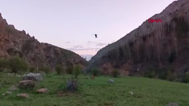 DAĞDA ZEHİRLENEN KADIN ÇOBAN İÇİN ASKERİ HELİKOPTER HAVALANDI