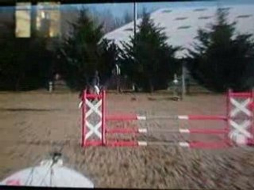 Barrage St benoit sur LoireD3P