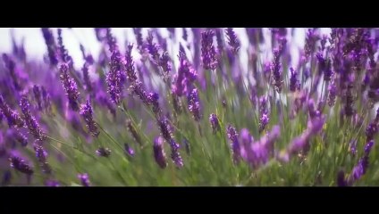 THE LOST GIRLS Trailer (2022) Louis Partridge, Peter Pan Movie