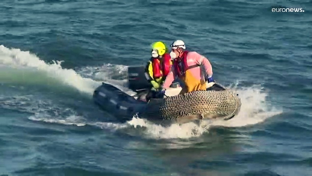 56 migrantes resgatados no Canal da Mancha