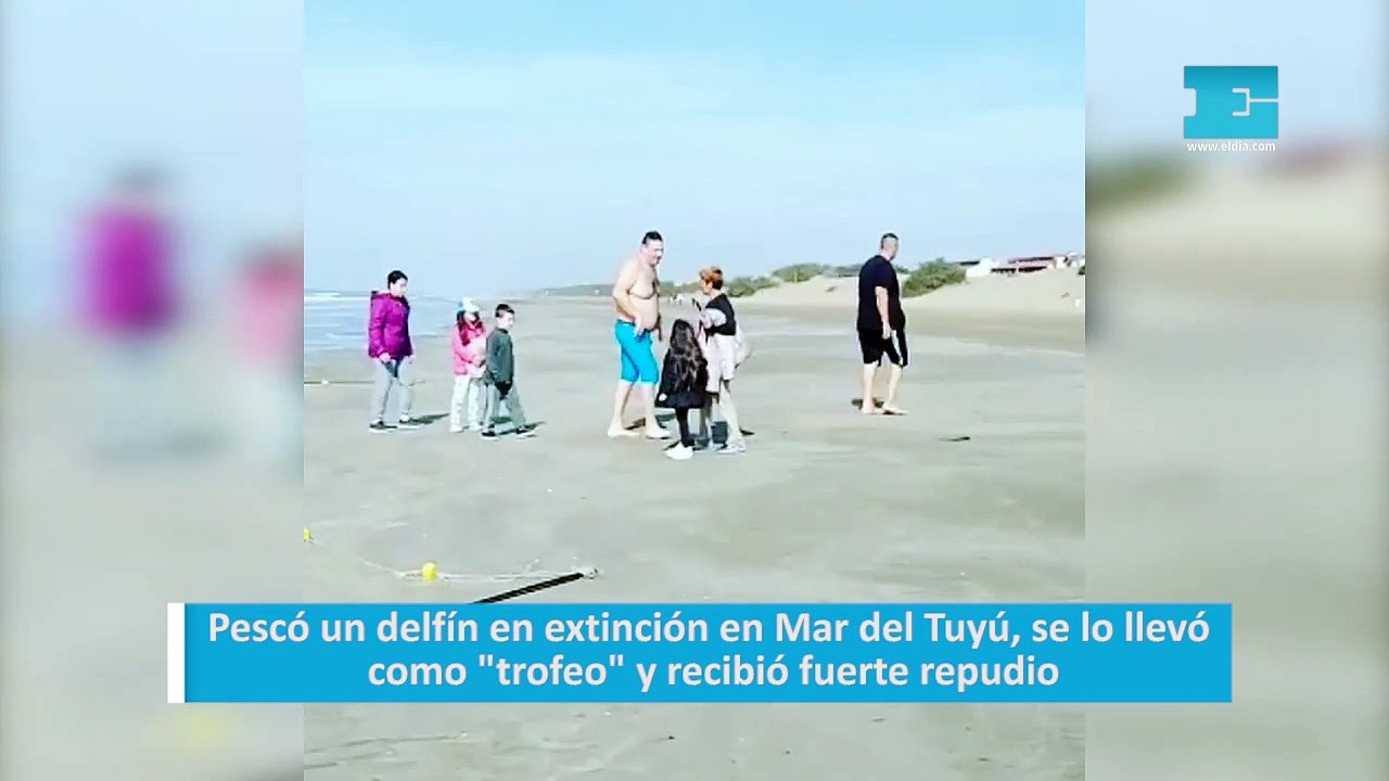 Pescó un delfín en extinción en Mar del Tuyú, se lo llevó como "trofeo" y recibió fuerte repudio
