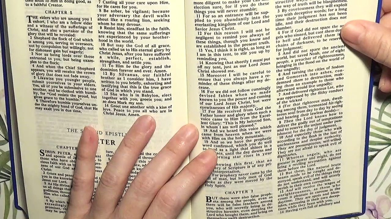 2 Peter 2, the New Testament, Bible