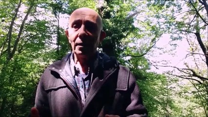 Règne de Trois Générations, Témoignage