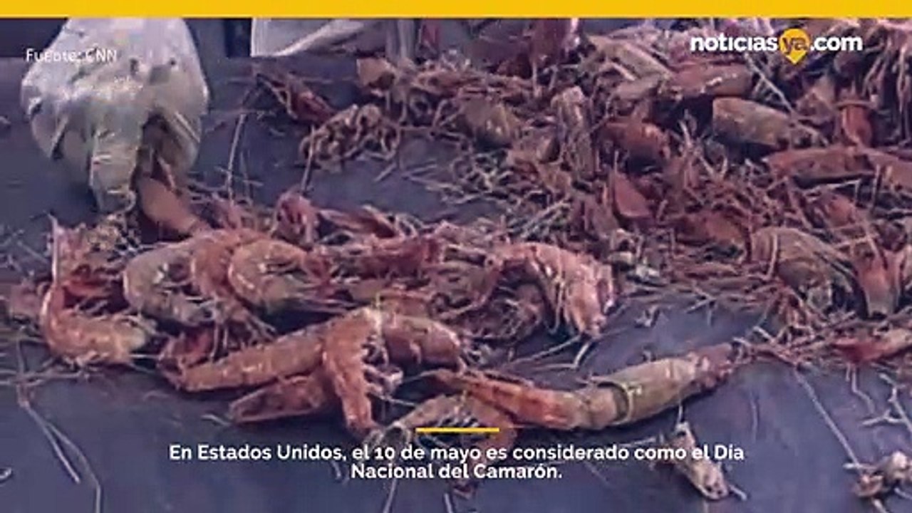 Día del camaron