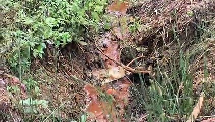 reportage gioia tauro