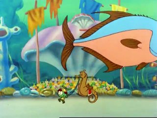 Snorkels - Te Paard Te Paard